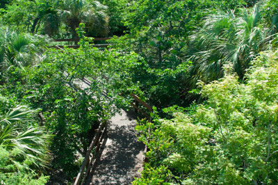 Okee heelee Park
